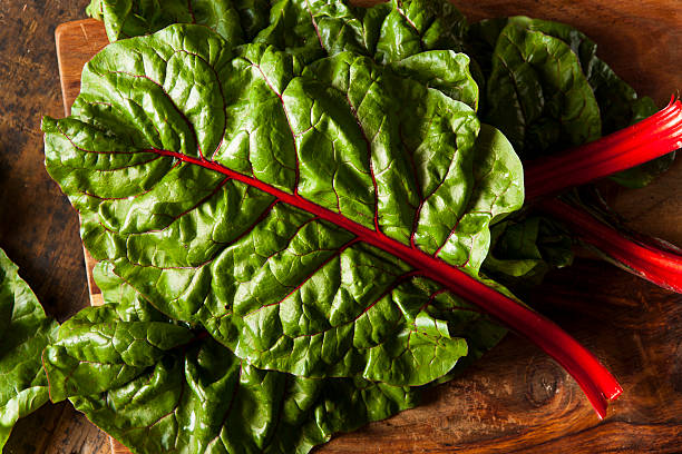 istock Raw Organic Red Swiss Chard 509642805