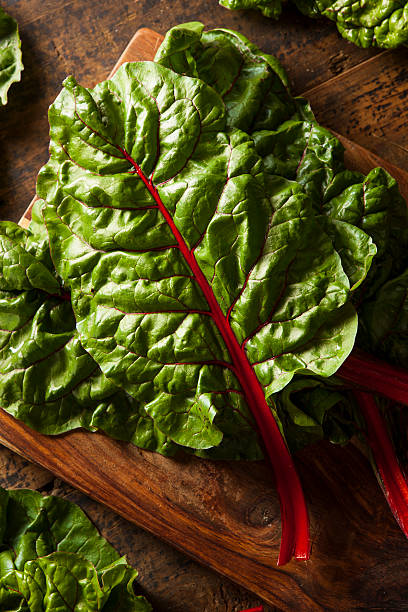 istock Raw Organic Red Swiss Chard 509643011
