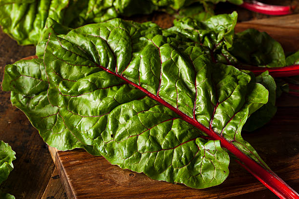 istock Raw Organic Red Swiss Chard 509643091