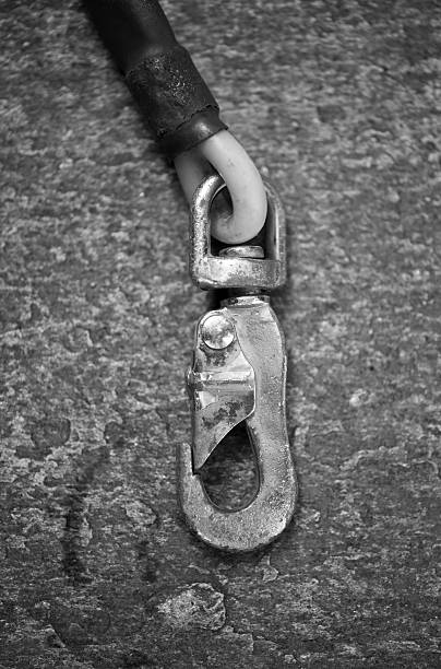 Line (dog leash) with swivel snap hook.