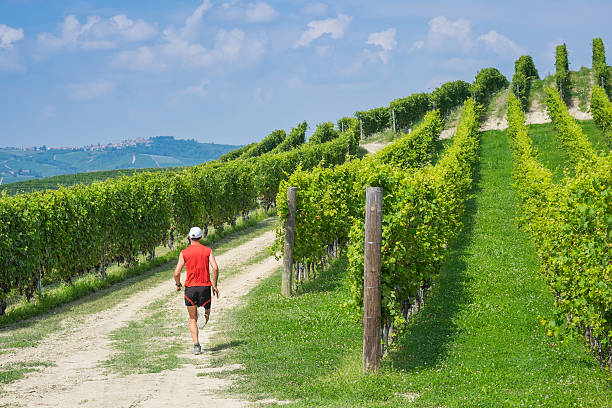 Running in the vineyards Trail running between the vineyards and hills of Langhe region in Italy strada sterrata stock pictures, royalty-free photos & images