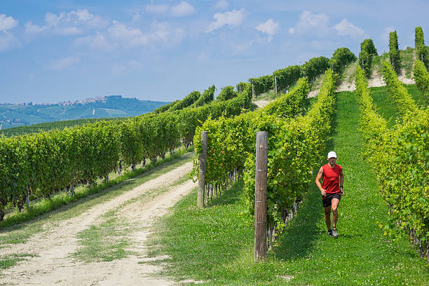 Trail running in the vineyards Trail running between the vineyards and hills of Langhe region in Italy strada sterrata stock pictures, royalty-free photos & images
