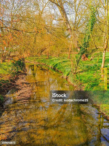 Fiume - Fotografie stock e altre immagini di Acqua - Acqua, Acquitrino di torbiera, Affollato