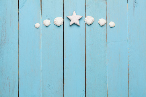 background with white seashells and star shape
