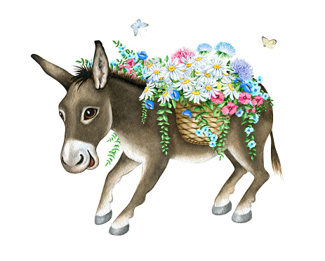 Hand drawn watercolor image of donkey isolated on white background. The author is Ekaterina Mikheeva, date of creation - February, 2016