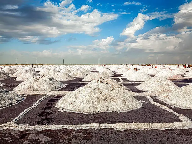 Salt mine at Sambhar Lake in daytime. Sambhar, Rajasthan, India