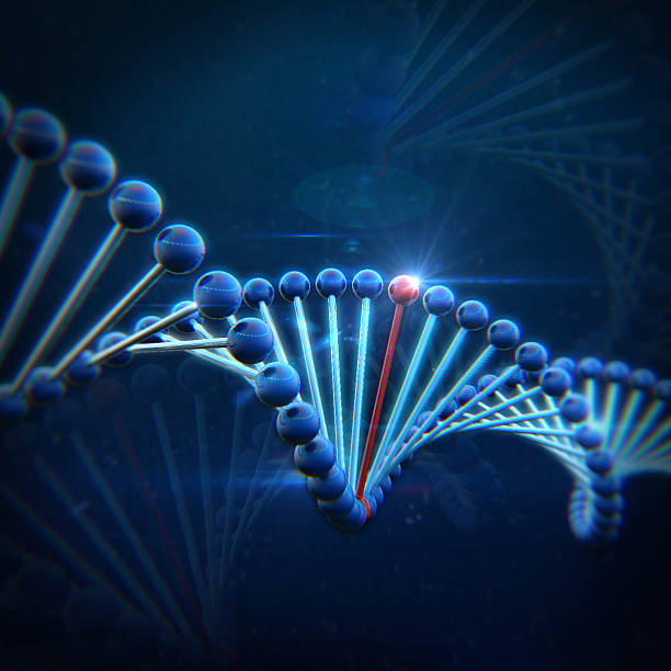 dna - sugar phosphate backbone 뉴스 사진 이미지