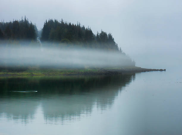 istock Out of the Fog 509662529