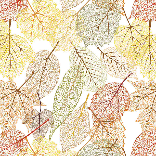 illustrations, cliparts, dessins animés et icônes de automne motif sans couture. - oak leaf leaf maple leaf autumn