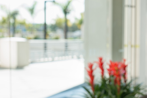 Defocused Office Building Courtyard Background