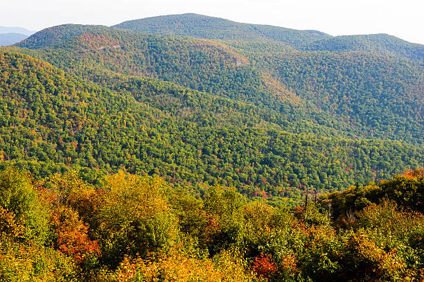 istock Shenandoah National Park 509664626