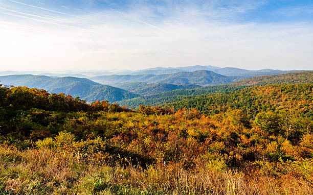 istock Shenandoah National Park 509664754