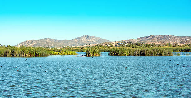 istock The beach estuary  viewing area in San Jose del Cabo 509668680