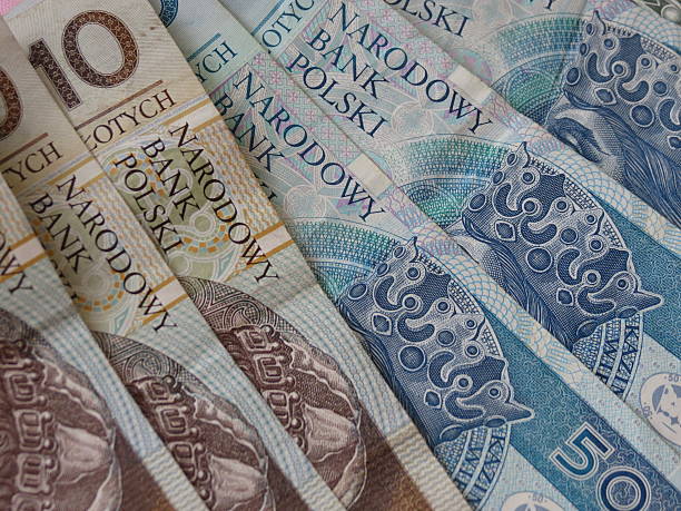 istock Polish zloty banknotes 509669186