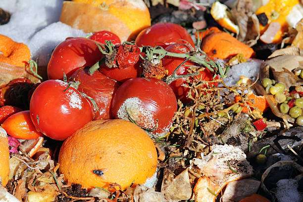 zgniłe owoców i warzyw na śmieci stos - rotting food mold fruit zdjęcia i obrazy z banku zdjęć