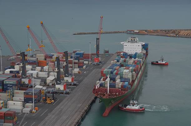 istock Port of Napier 509670654