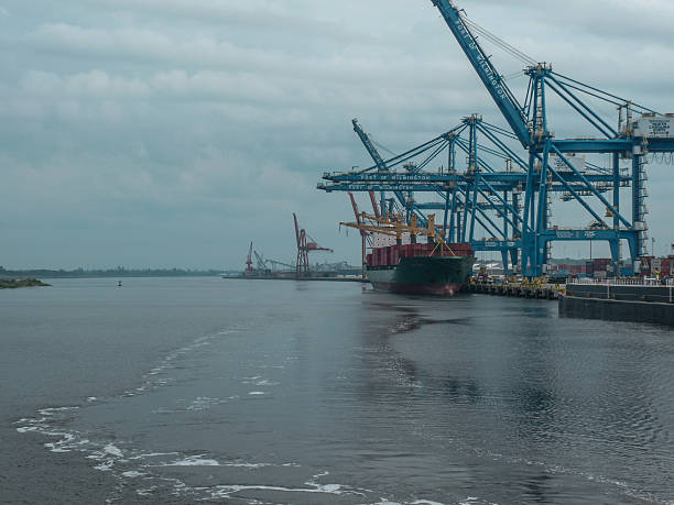 NC State Port on Cape Fear River Wilmington, NC From the deck of the Henrietta II approaching the seaport at Wilmington, NC with view of cranes, docks and and ocean going container ship unloading cargo cape fear stock pictures, royalty-free photos & images