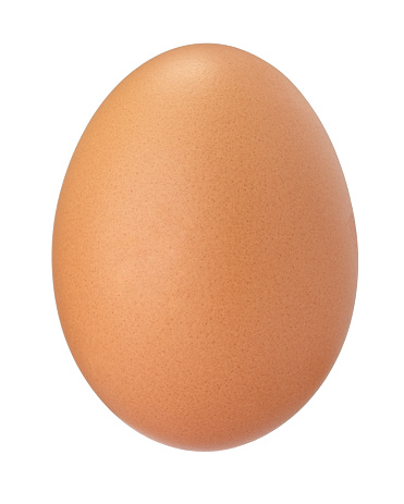 close up of an egg on white background with clipping pathclose up of an egg on white background with clipping path