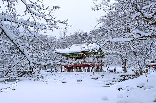 istock Baekyangsa Temple and falling snow, Naejangsan Mountain. 509678682