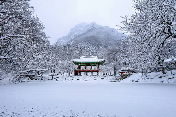 istock Baekyangsa Temple and falling snow, Naejangsan Mountain. 509678722