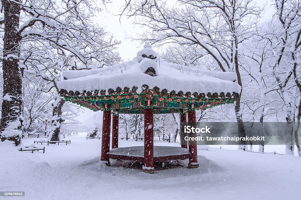 Phong Cảnh Vào Mùa Đông Với Tuyết Rơi Ở Seoul Hàn Quốc Hình ảnh Sẵn có -  Tải xuống Hình ảnh Ngay bây giờ - iStock