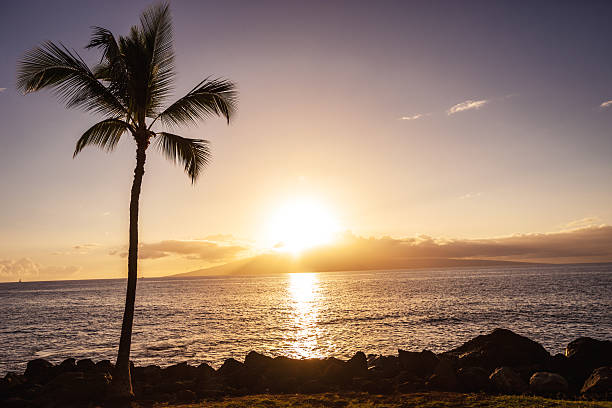 istock Sunset on the beach, Maui, Hawaii, USA 509679848