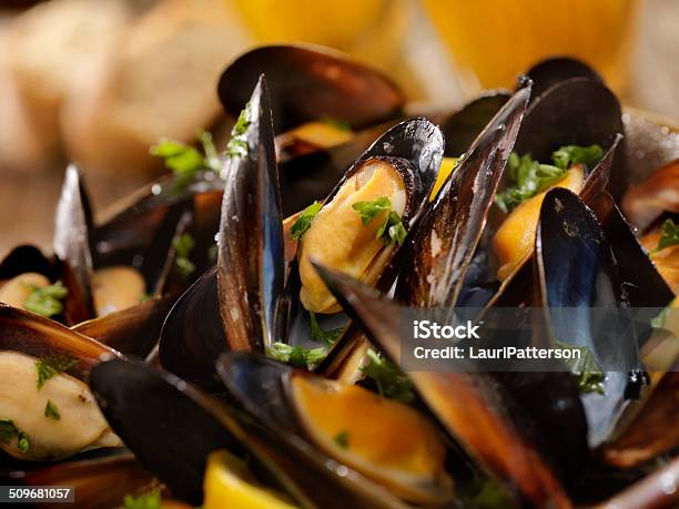 Steamed Mussels Stock Photo - Download Image Now - Animal Shell, Baguette, Bowl