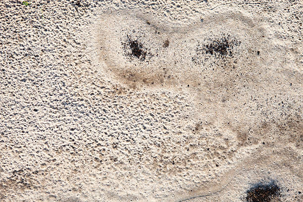 sable après la pluie - ridé surface solide photos et images de collection