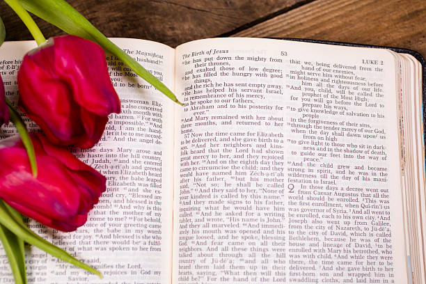 istock Christmas.  Tulip flowers on open Christian Bible. 509683362