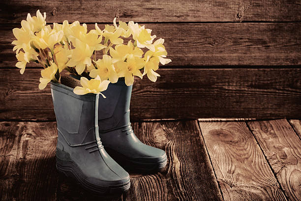 istock child garden shoes with spring flowers 509684056