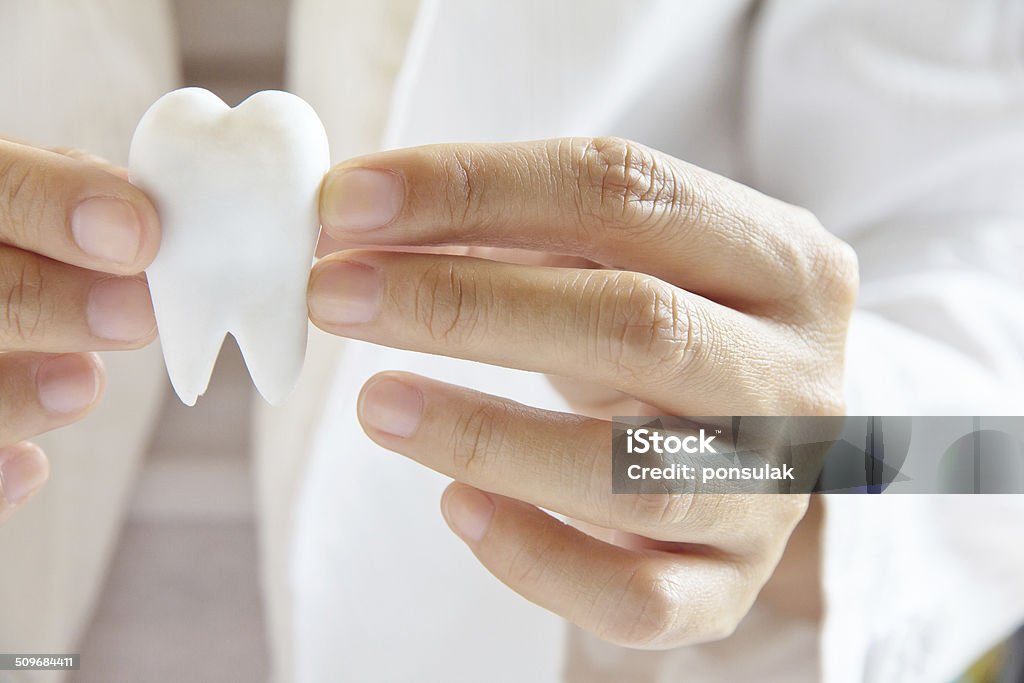 dental concept dentist holding molar,dental concept Abstract Stock Photo