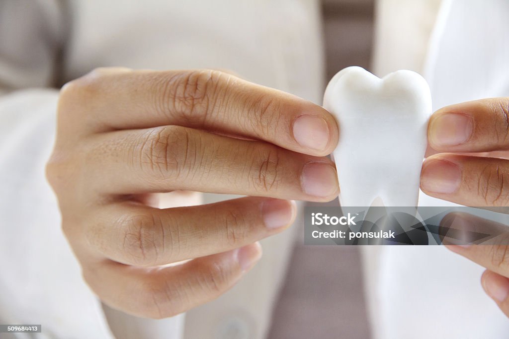 dental concept dentist holding molar, dental concept Abstract Stock Photo