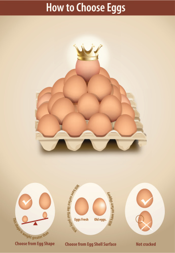 Vector of How to Choose Eggs