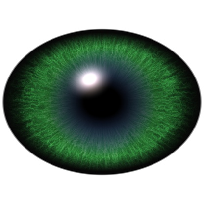 Green animal eye with large pupil and bright retina in background. Dark green iris around pupil, detail view into eye bulb.