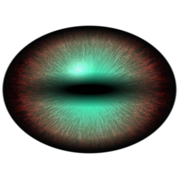 istock Raptor purple eye with large pupil and thin green retina 509686658