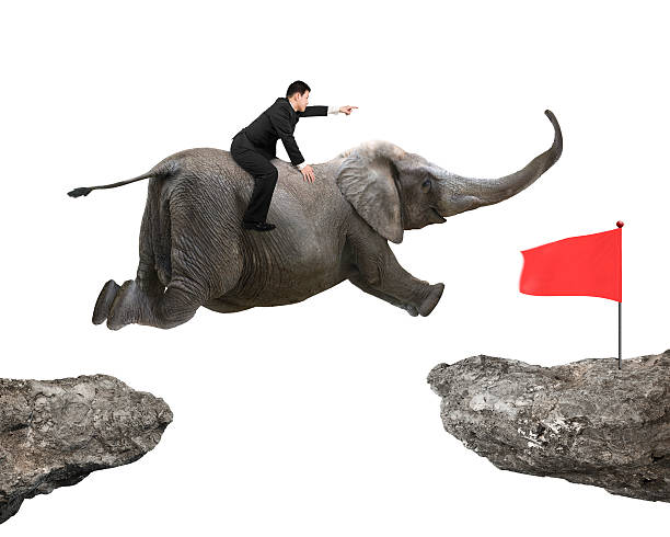 istock Man with pointing finger riding elephant flying toward red flag 509689162