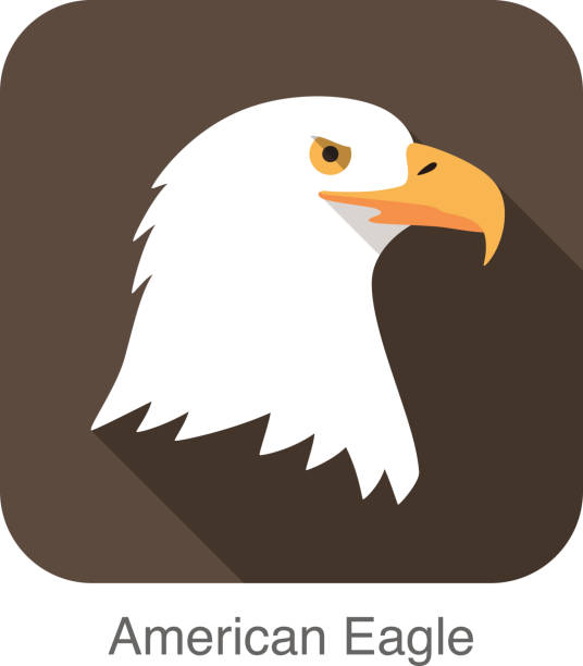 eagle bärengesicht flache icon-design.  tier icons-serie. - bird nature animal head beak stock-grafiken, -clipart, -cartoons und -symbole