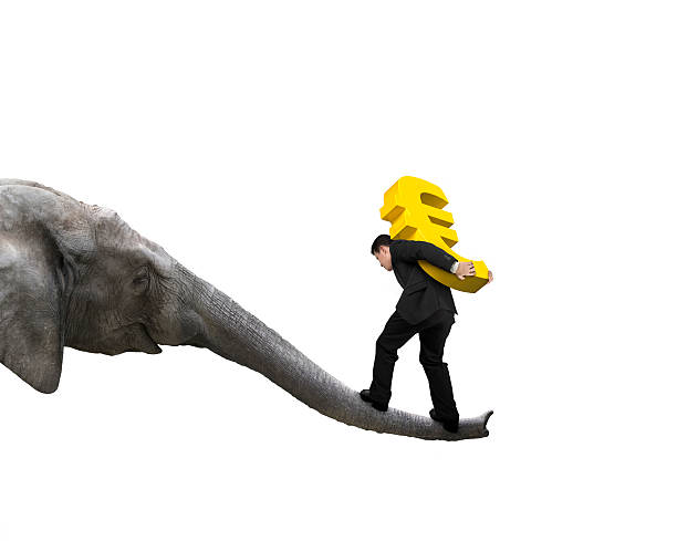 istock Businessman carrying euro sign balancing on elephant trunk 509689178