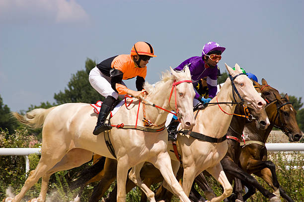 istock Horse racing in Pyatigorsk. 509689536