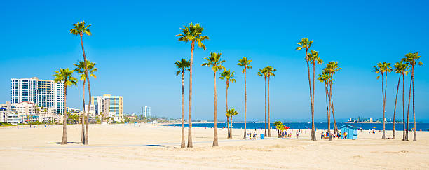 Long Beach California skyline, beach, palm trees Long Beach, California long beach california photos stock pictures, royalty-free photos & images