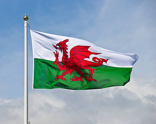 walisische flagge - welsh flag stock-fotos und bilder