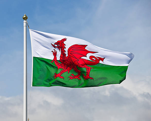 Welsh Flag The welsh flag, a red dragon on a green and white background, flutters in the wind against a blue sky. welsh flag stock pictures, royalty-free photos & images