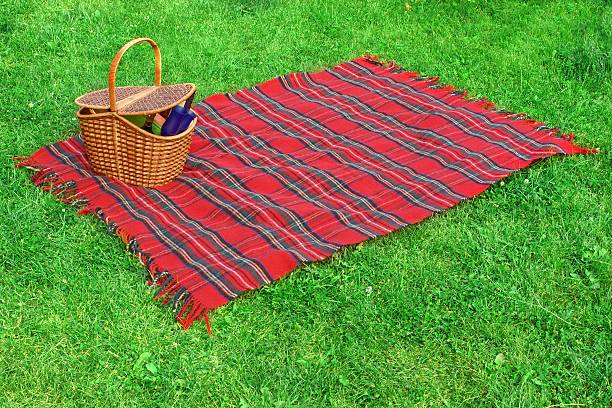 istock Picnic blanket and basket on the lawn 509706441