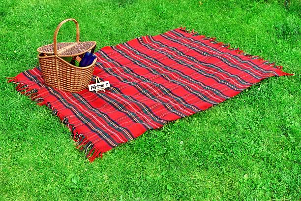 istock Picnic blanket and basket on the lawn 509706443