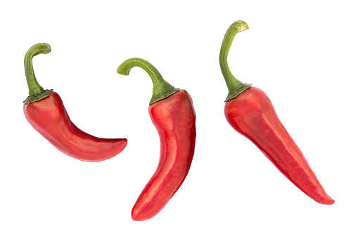 The Espelette pepper (piment d'Espelette) comes from the french town Espelette in the Basque Country, Pyrenees-Atlantiques, France. It is a rather mild chili pepper with an heat level of 2 (from 0 to 10). Three ripe red pods isolated on white background.