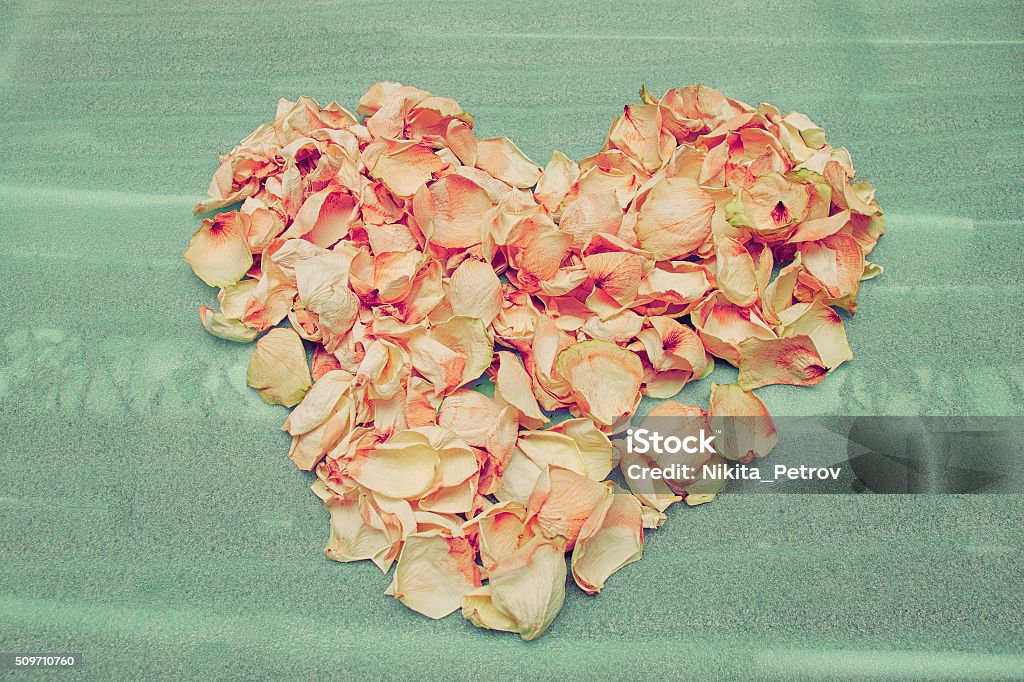 Heart of dried rose petals on the green foam lining. Abstract Stock Photo