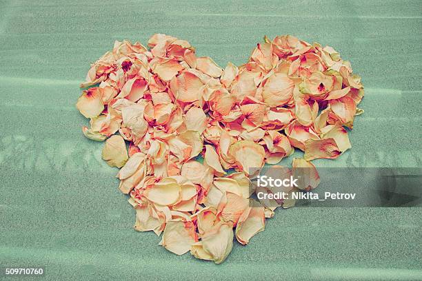 Heart Of Dried Rose Petals On The Green Foam Lining Stock Photo - Download Image Now