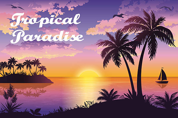 illustrations, cliparts, dessins animés et icônes de de la mer tropicale avec palmiers et paysage bateau - silhouette nautical vessel sea morning