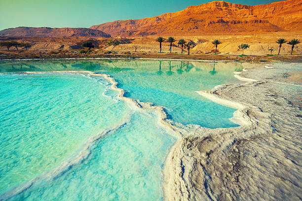 死海の塩海岸 - israel ストックフォトと画像