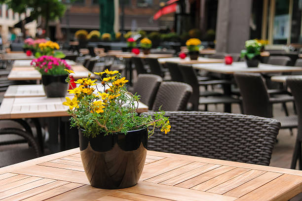 istock Pots with decorative flowers on the tables 509712684